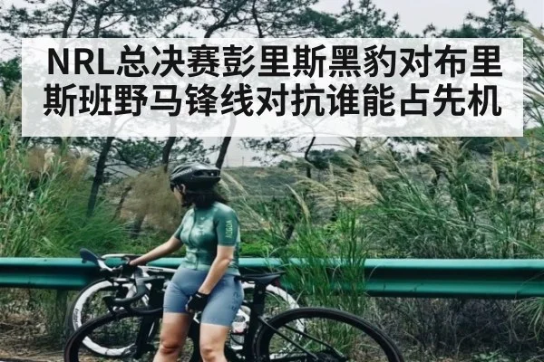 NRL总决赛彭里斯黑豹对布里斯班野马锋线对抗谁能占先机